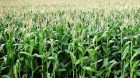 MSA étude santé agriculteurs
