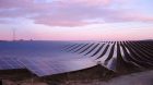 photovoltaïque, Charente, bovins, activité agricole,