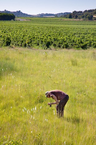 Après une courte formation, chaque agriculteur est ensuite « lâché » dans ses parcelles avec un support papier à remplir. Crédit photo: T. Gendre