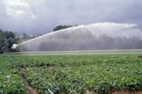 Des réserves d’eau creusées à l’explosif