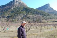 Spécialistes de l’arboriculture en montagne