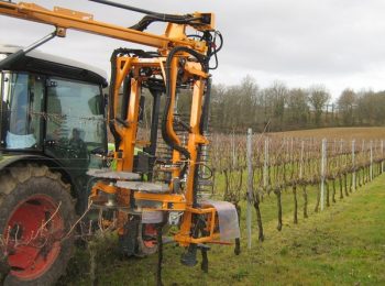 La TRP (taille rase de précision) séduit les viticulteurs