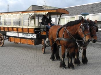 Le GPS au service de la traction animale