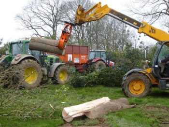 Déchiqueteuse et craqueur de grumes en réflexion