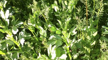 L’agronomie au coeur de l’assemblée des cuma de Dordogne