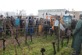 Machine à tirer les sarments Provitis, pour une « mécanisation du geste manuel »