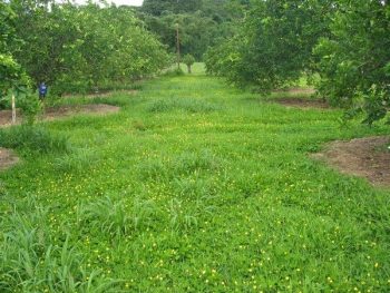 Des groupes Sols agroécologiques