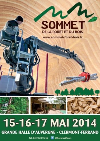 Sommet de la forêt et du bois : démo en vue de matériels pour le bois