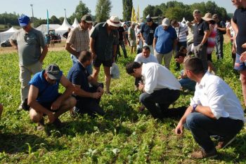 TracSol : implantation des couverts végétaux