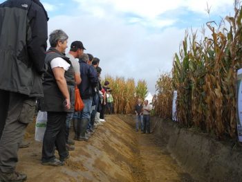 MécaMaïs, succès avant la pluie