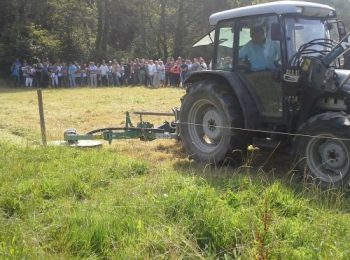 Entretien des zones humides et du bocage : broyeur, rototrancheuse et machine à bûchettes