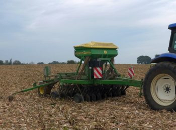 Activité semis direct à Cesson Sévigné : le blé en direct derrière le maïs grain