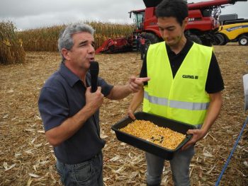 Maïs : devenir expert en récolte
