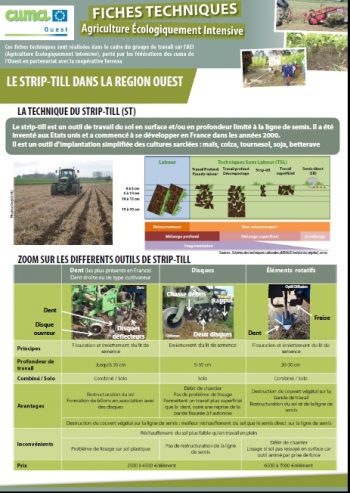 Une fiche pratique sur le strip-till à découvrir