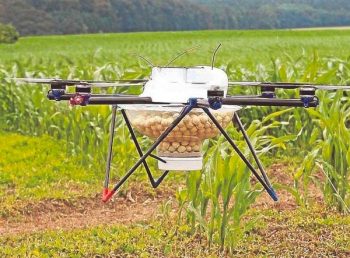 Multicoptère contre pyrale : le drone qui soigne le maïs