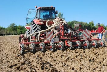 Green-tillage : du potentiel