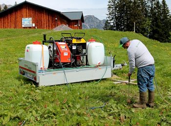 Le désherbage thermique à l’assaut des rumex