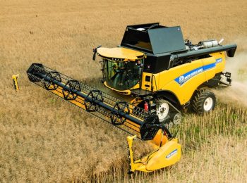 De nouvelles jaunes pour 2016