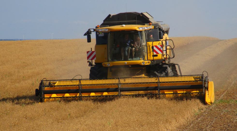 La moisson en banque de travail - Entraid