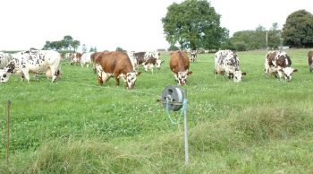 Elles carburent au mélange