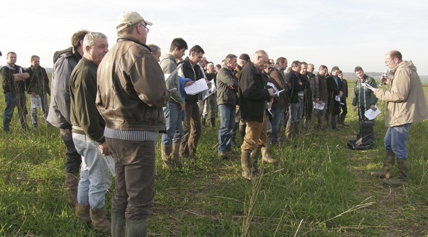 Les agriculteurs ont visité les différentes bandes d’orge de l'expérimentation pour connaître les performances des semoirs.