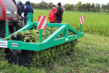 Cipan : des bénéfices difficiles à évaluer