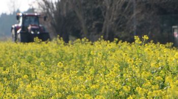 Bio, industrielle, subventionnée… Quelle agriculture choisiraient les Français ?