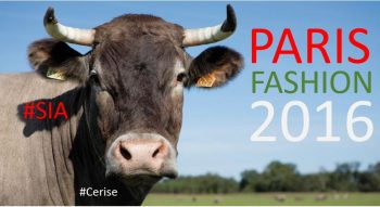 Farmer fashion week 2016 : le programme du défilé politique