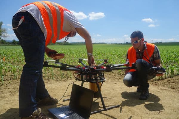 drone agriculture maïs pyrale