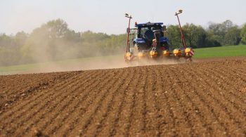 Semis de maïs, du twinrow au rapide pour le plaisir des yeux