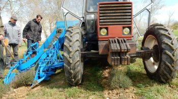 La récolte du thym, une machine sur mesure