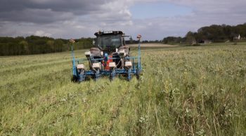 Agriculture de conservation : Constat des besoins de changement et approche économique