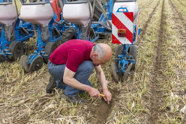 Semis du mais au semoir pneumatique dans le sillon fait au prealable au strip till