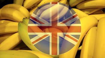 Le Brexit, la banane et la bouilloire