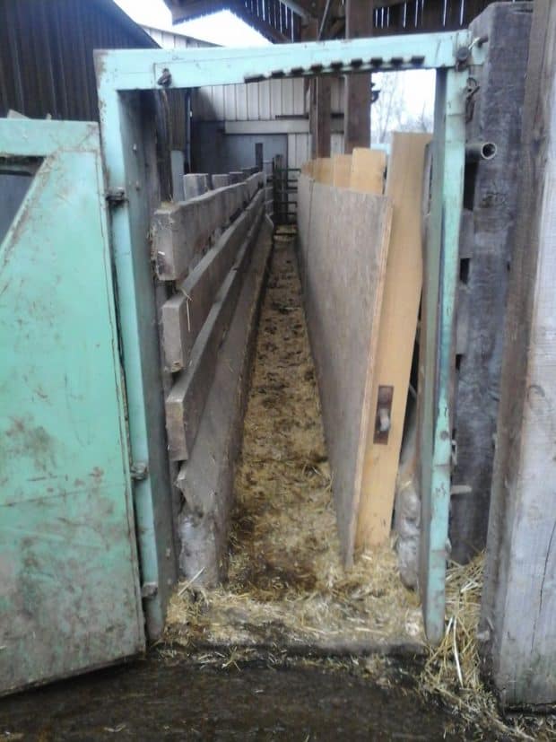 Un couloir de contention « 2 en 1 » Entraid