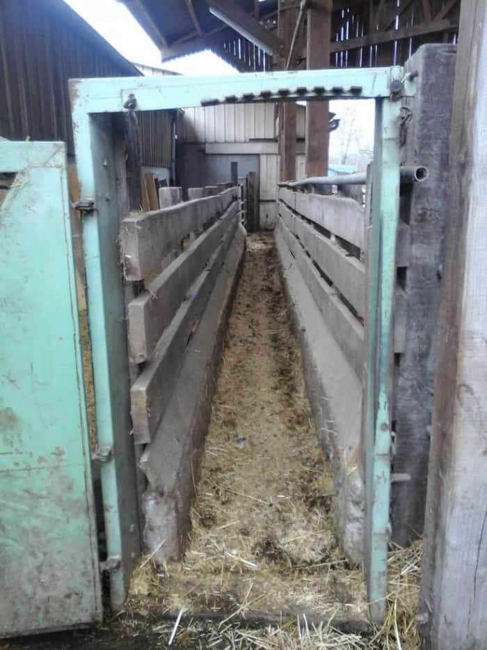 Balles Tracantes Le Long Des Couloirs Un couloir de contention « 2 en 1 » - Entraid