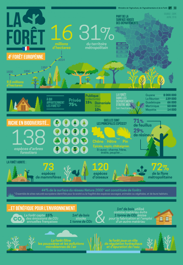 surface et espece arbres forêt française