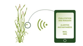 Agroptimize, la start-up cultivant la «smart agriculture»