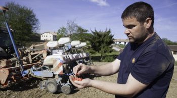 #semis de maïs #non labour : un staff de pros dans les Landes