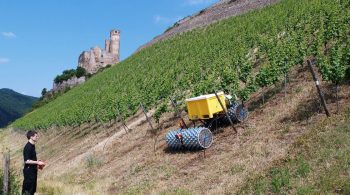 Un drôle de tracteur pour les vignes en pente