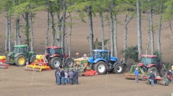 Réussir l’implantation des prairies à flore variée