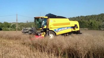 Moisson 2017 : Le Nord-Est entame les chantiers