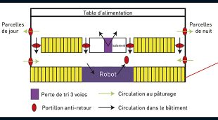 la traite simplifiée