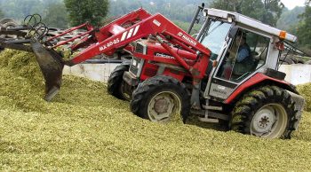 Silos : bien tassés et bien bâchés