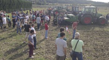 Couverts après maïs : que semer, quand, comment ?