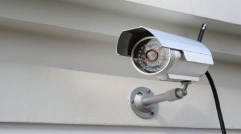 Abattoirs: Le Foll favorable aux caméras de surveillance mais dans le respect des salariés