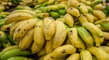 Parlement européen: la commission du commerce international défend la banane des Outre-mer