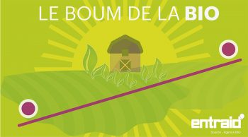 [Infographie] Le boum de la bio !