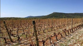 Agriculture: Le Foll veut « repenser » la gestion des aléas climatiques et calamités