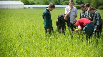 Rentrée scolaire: les jeunes attirés par l’enseignement agricole malgré la crise du secteur